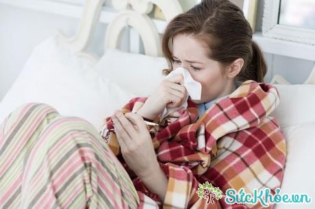 Rau kinh giới chữa cảm lạnh hiệu quả