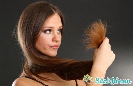 Cách phục hồi tóc khô xơ hiệu quả