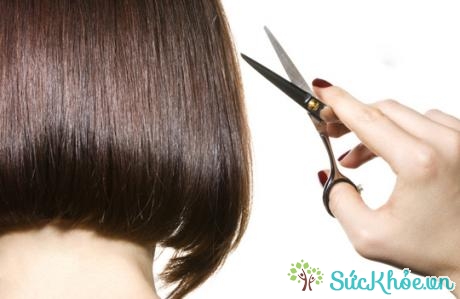 Thường xuyên cắt tóc làm giảm tình trạng tóc chẻ ngọn