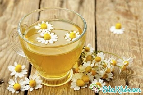 Trà hoa cúc là một trong các loại trà thảo mộc tốt cho sức khỏe con người