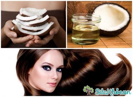 Cách ủ tóc bằng dầu dừa qua đêm