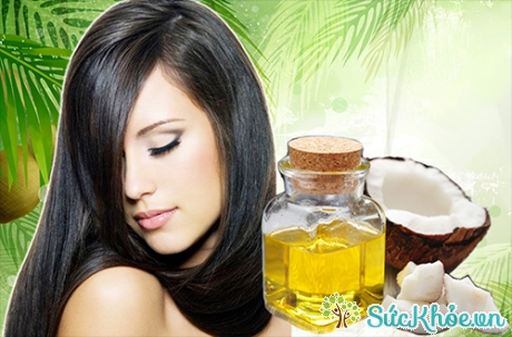 Cách dưỡng tóc bằng dầu dừa và dầu oliu