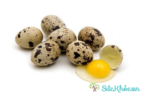 Ăn trứng cút có tác dụng gì? 