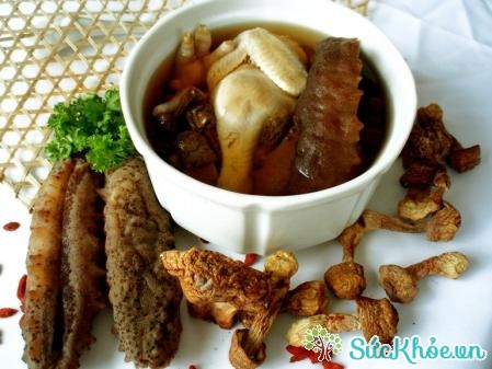 Món ăn bài thuốc từ hải sâm tốt cho sức khỏe