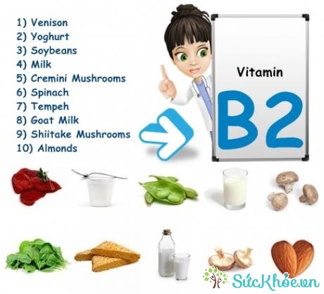Công dụng của vitamin B2 rất quan trọng với con người