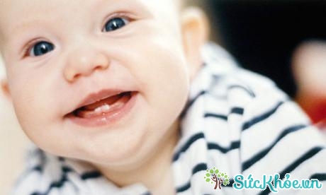 Bổ sung canxi cho trẻ đang mọc răng rất quan trọng