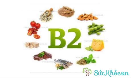 Tác dụng của vitamin B2 là gì?