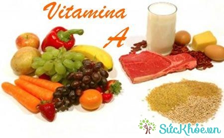 Vitamin A có rất nhiều trong động vật và thực vật