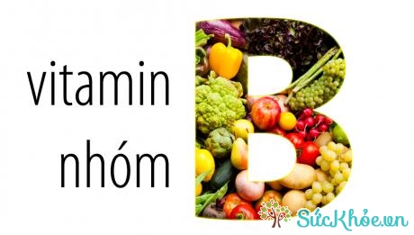 Vai trò của các vitamin nhón B là gì?
